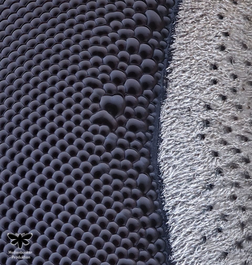 Ommatidien einer Schwebfliege (Syrphus ribesii) 2