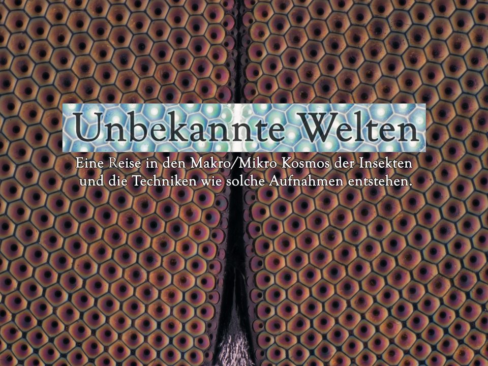 kuttner1